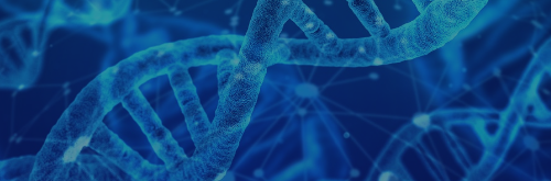 Advances in Experimental Tools and Methodologies for Screening Enzyme Functions I
