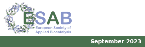 Biocatalytic Process Engineering